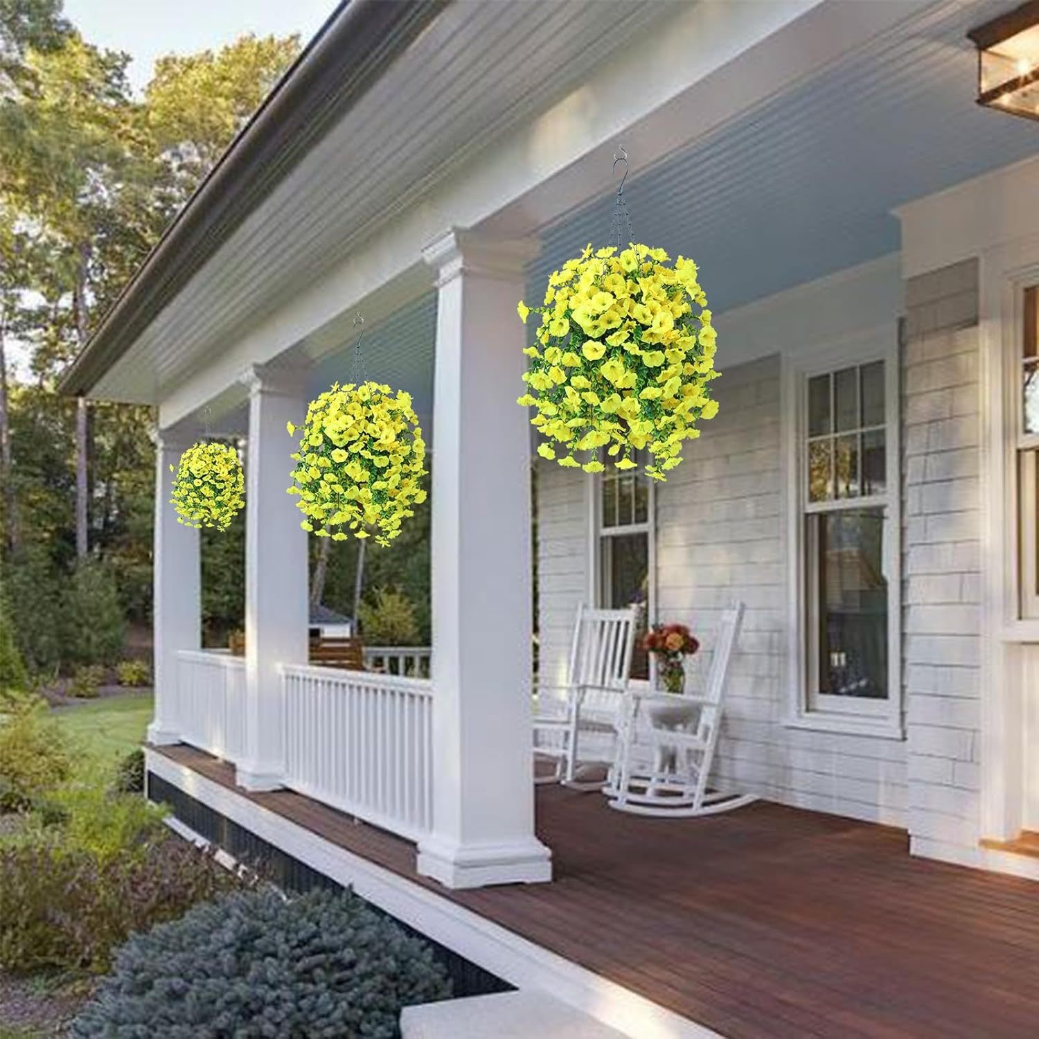 Perfect home garden decoration – 🌺hanging morning glory