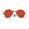 🔥Last Day 50% OFF💦Adult Sunny G Mariner Mirrored Goggles