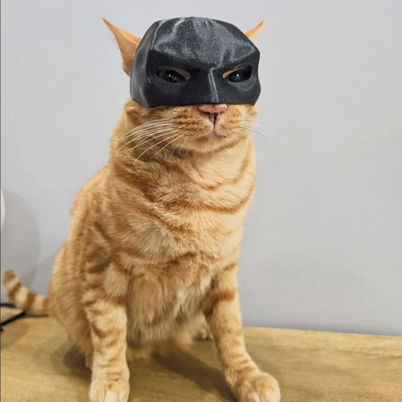 (🎃Halloween Hot Sale - 49% OFF) 🐱🦸‍♂️Bat Cat Avenger Mask