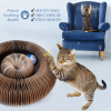 🐱Interactive Toy For Cats (BUY 2 FREE SHIPPING)