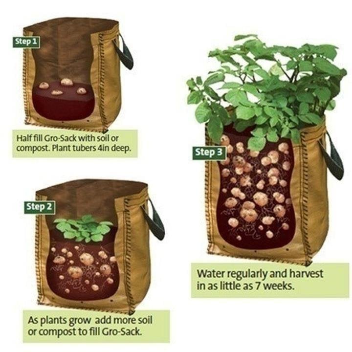 🔥New Year Specials - 49% OFF 🥔10 Gallons Large Capacity Vegetables Grow Planter PE Container Bag