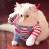 🔥Last Day Promotion - 60% OFF🎁👻Adorable Pet Cosplay Outfit🤣