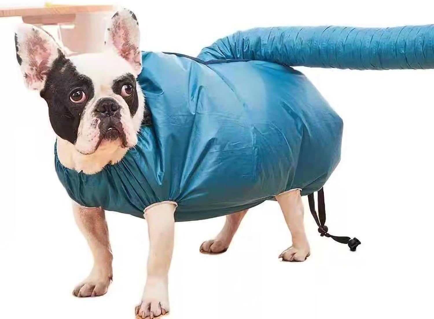 🔥Letzter Tag Verkauf 49% Rabatt🐶Trockentasche für Haustiere
