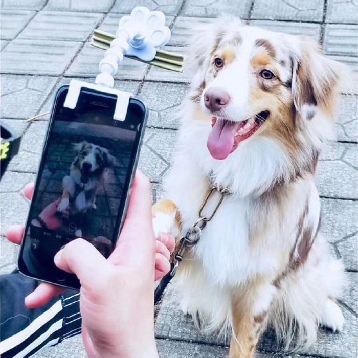 (Early Christmas Sale- 48% OFF) Pet Selfie Stick