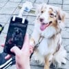 (Early Christmas Sale- 48% OFF) Pet Selfie Stick