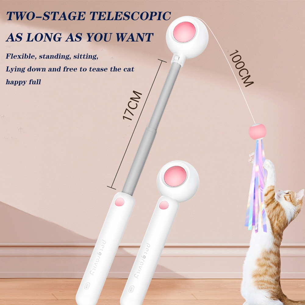 Pet Telescopic Laser Teasing Stick