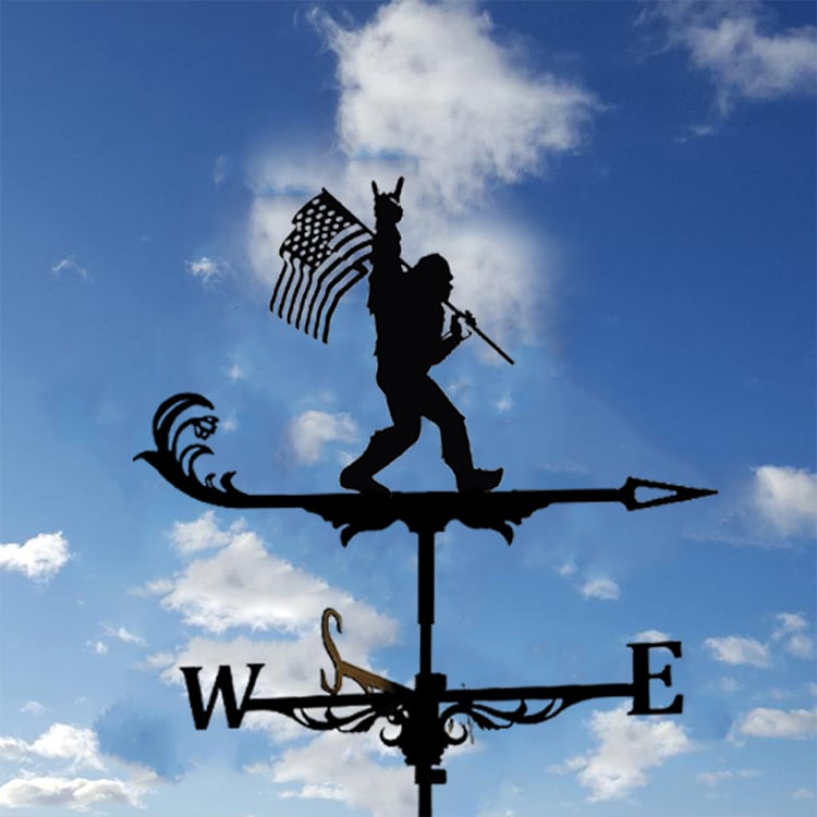 🔥LAST Sale 49% OFF - 🏠Stainless Steel Weathervane