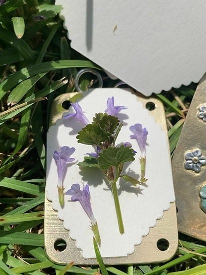 🔥Last Day 50% OFF-2025 Micro Flower Press