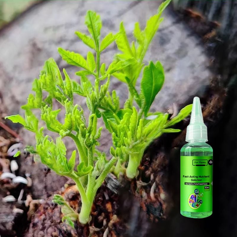 Last Day 70% OFF🔥Fast-Acting Nutrient Solution for Plants