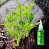 Last Day 70% OFF🔥Fast-Acting Nutrient Solution for Plants