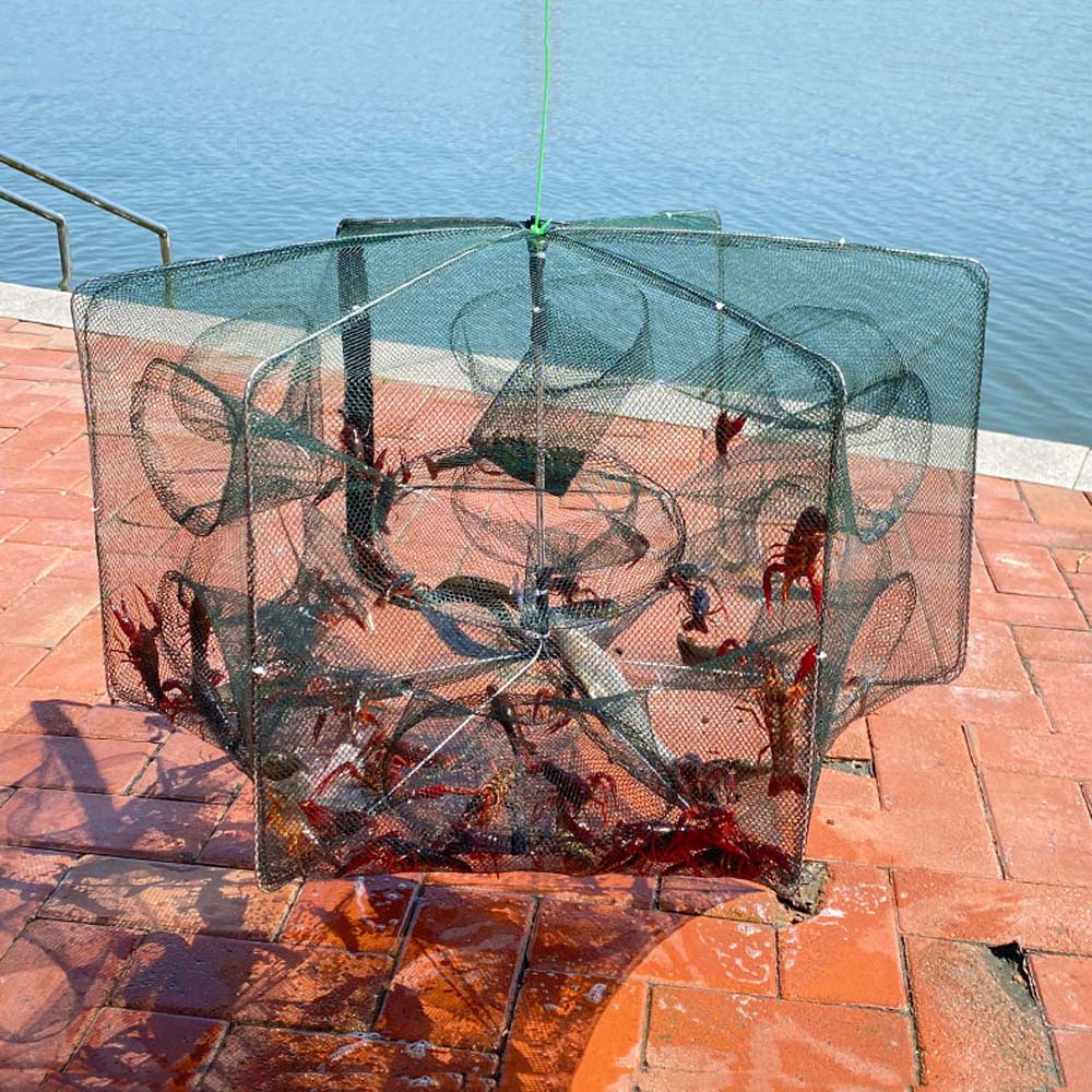 🎣 Summer Sale-43% OFF🐠Automatic Fish Trap 6-16 Entry Holes