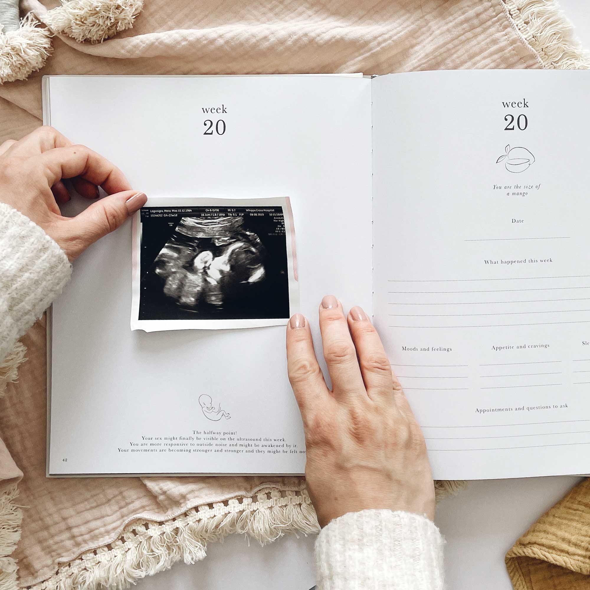 My Pregnancy Journal - from Bump to Birth