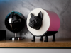 🎁 Sheep Toilet Roll Holder