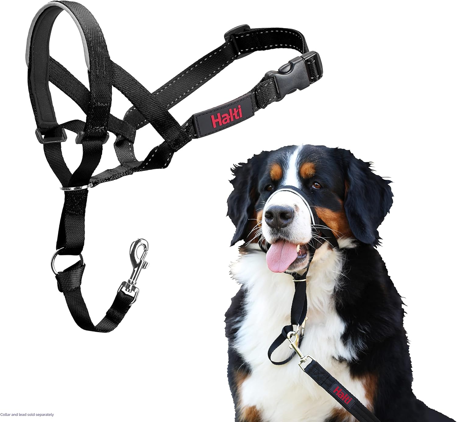 HALTI Headcollar - To Stop Your Dog Pulling on the Leash. Adjustable, Reflective and Lightweight, with Padded Nose Band. Dog Training Anti-Pull Collar for Medium Dogs (Size 3, Red)