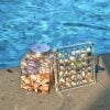 🌊Acrylic Magnetic Seashell Display Box