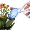 ( Last Day Promotion - 50% OFF) Automatic Little Bird Watering Device, Buy 5 Get 5 Free & Free Shipping