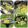 🎁TikTok Last Day Sale - 70% OFF🎉Floating Bee Watering Station🐝