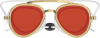 🏊 Full-View Anti-Fog Swim Goggles