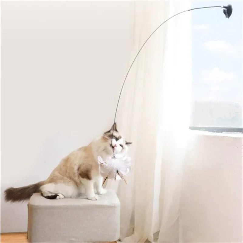 🌲Early Christmas Sale 48% Off🐱Interactive Bird Toy Set for Indoor Cats, Buy 2 Free Shipping!