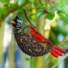 🐦Evergreen Garden Mesh Bird Feeder