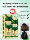 🔥Last Day Promotion 70% OFF-🔥-Plant Bubble Hair Dye Shampoo