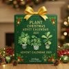 🔥Christmas Sales 50% OFF🎄-2025 Plant Christmas Advent Calendar🌿
