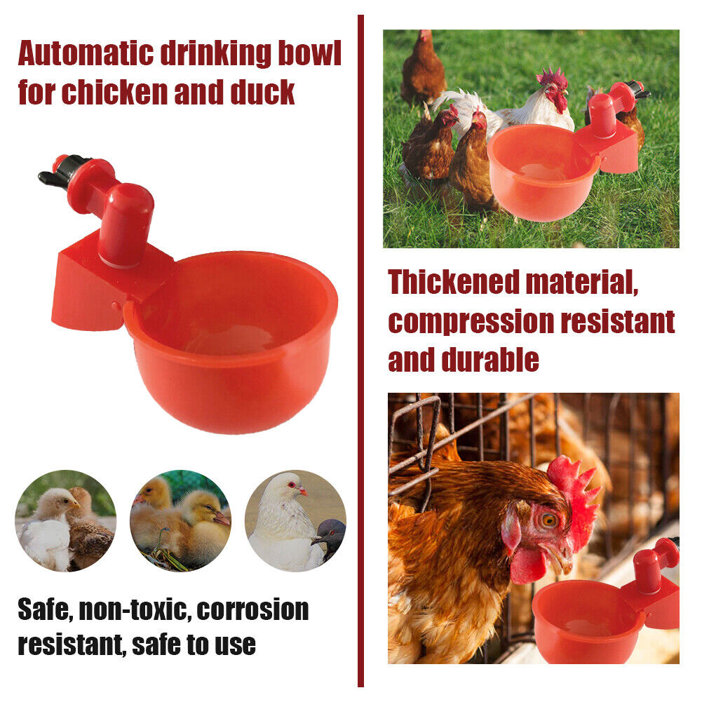 (🌲Early Christmas Sale- 48% OFF)Automatic Poultry Water Bowl 5Pcs/set(buy 4 sets get free shipping)