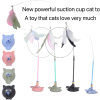 🔥Last Day 50% OFF- Interactive Toys for Indoor Cat🐱