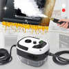 2500W Handheld High-Temperature Pressurized Steam Cleaner & Free Shipping