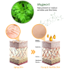 🎁Last Day Promotion- SAVE 70%🔥CurvaLux Enhancement Herbal Patch