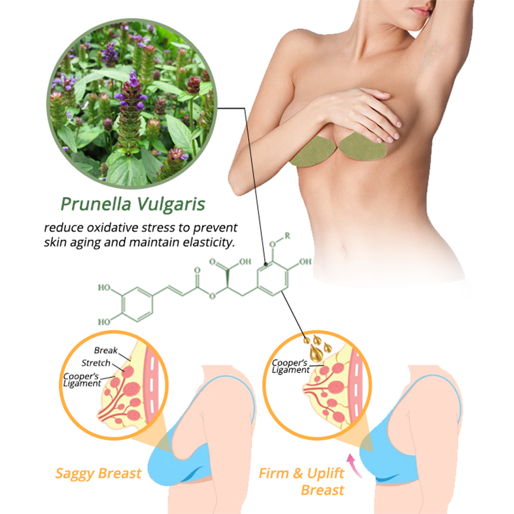 🎁Last Day Promotion- SAVE 70%🔥CurvaLux Enhancement Herbal Patch