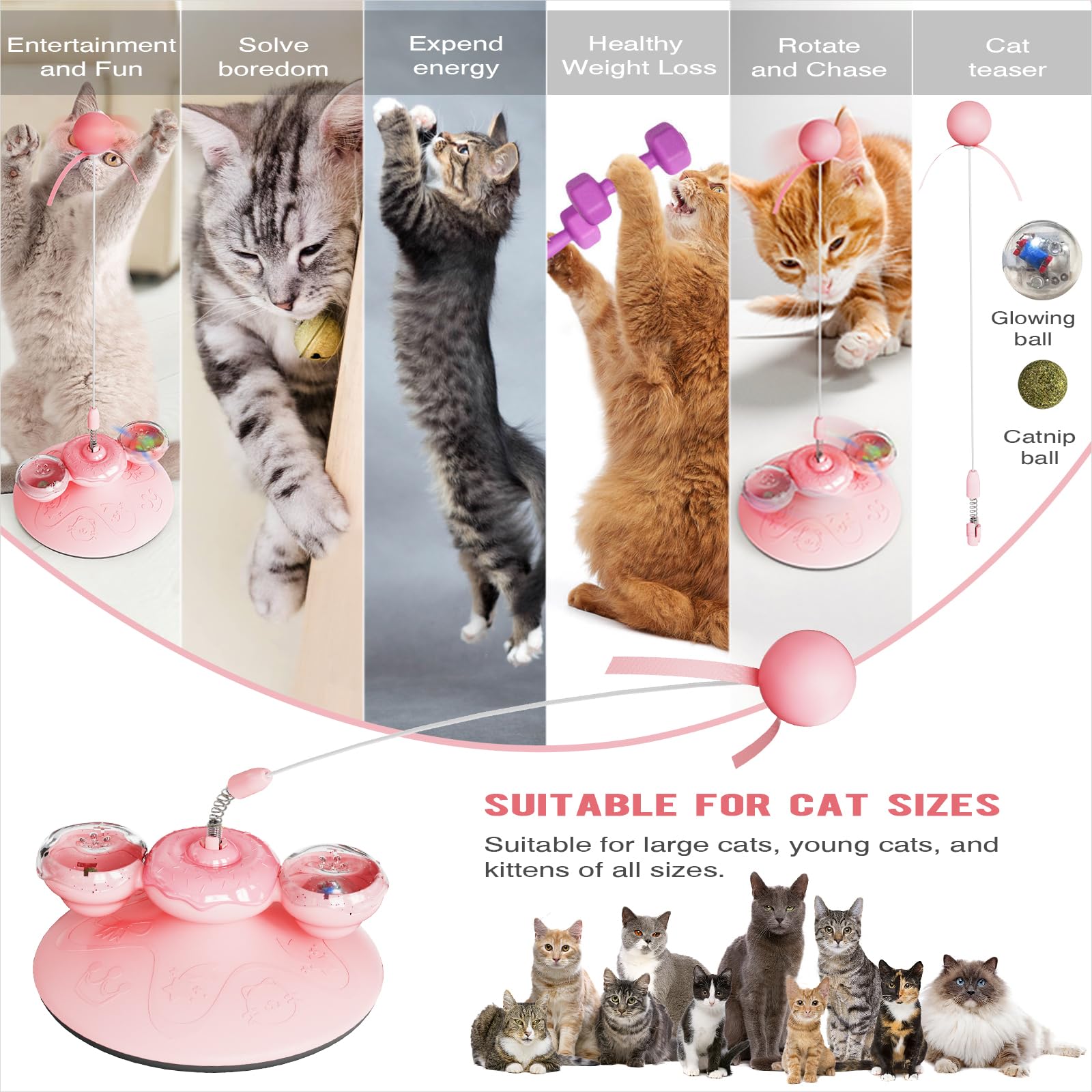 Cat Interactive Toy