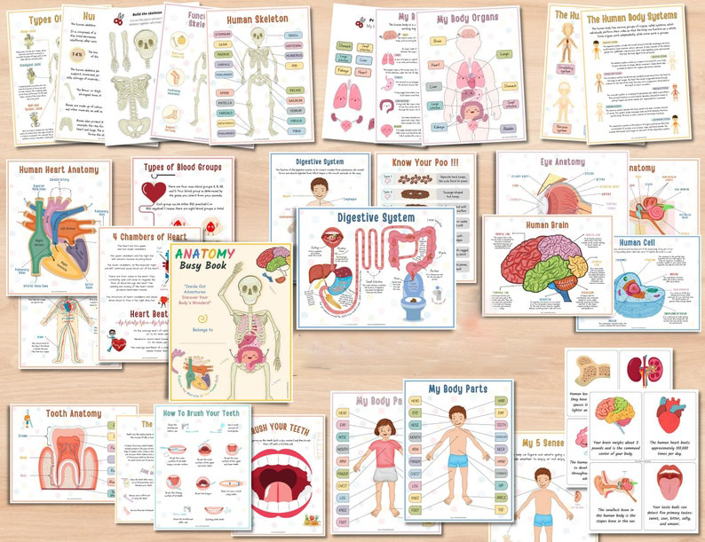 🎁Body Organs Busy Book For Kids🔥Buy 2 Save 20% OFF & Free Shipping