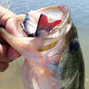 🎣 Summer Sale-50% OFF🐠FishWishRod™- Lifelike Swimbait