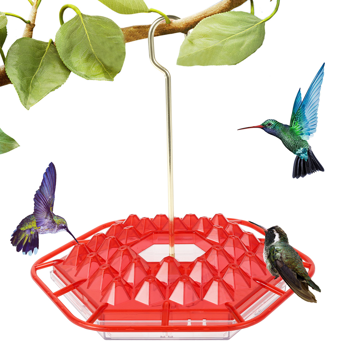 🔥Last Day Promotion 50% OFF🔥-Hummingbird Feeder(BUY MORE SAVE MORE)