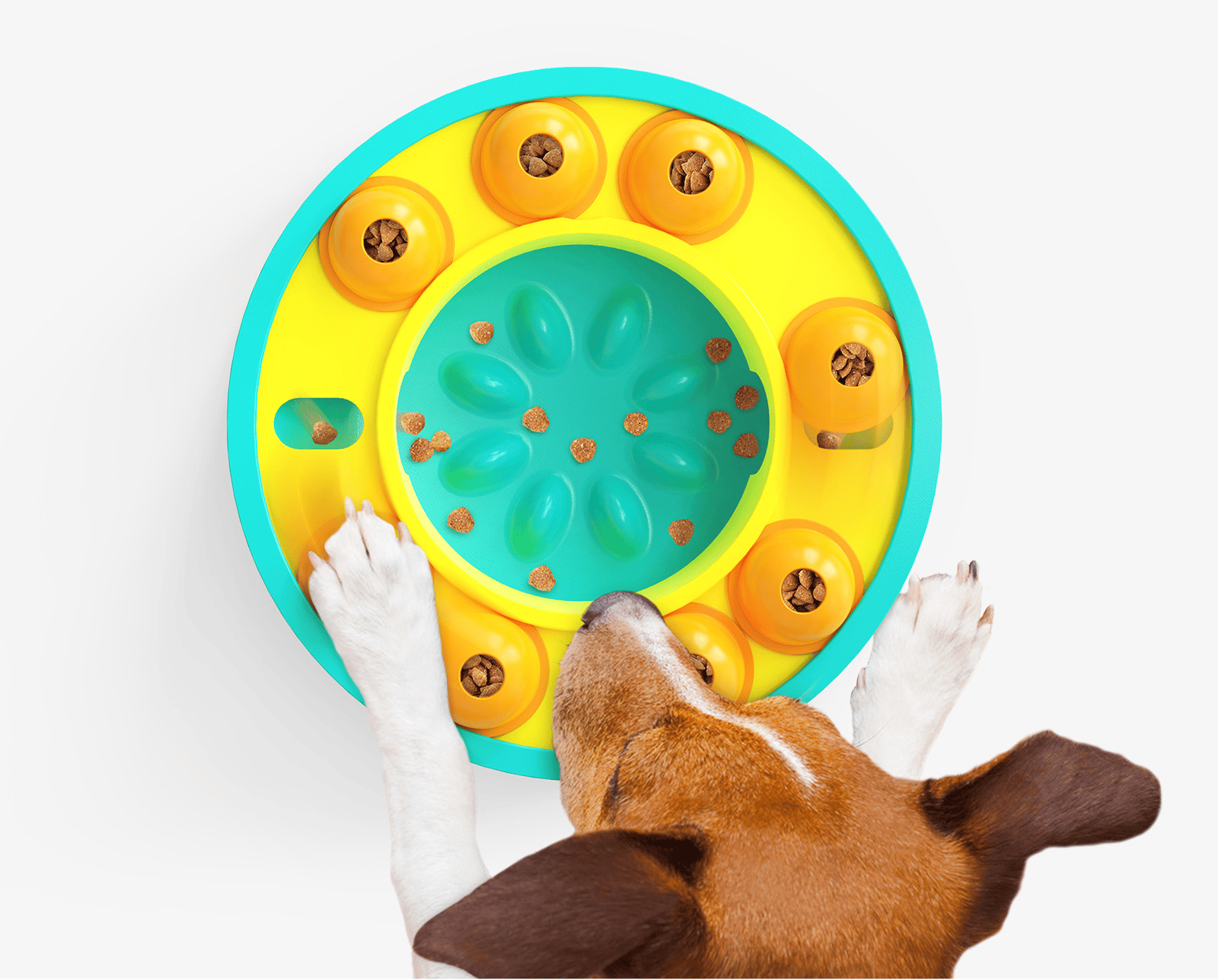 Wisdom Dog Toys Slow Leakage Feeding Training