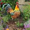 Iron rooster-Amazing detail and beautiful colours-Lawn & garden art