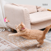 💗Mother's Day Sale 80% OFF💖Interactive Funny Cat Toys👍👍BUY 5 GET 3 FREE--8PCS