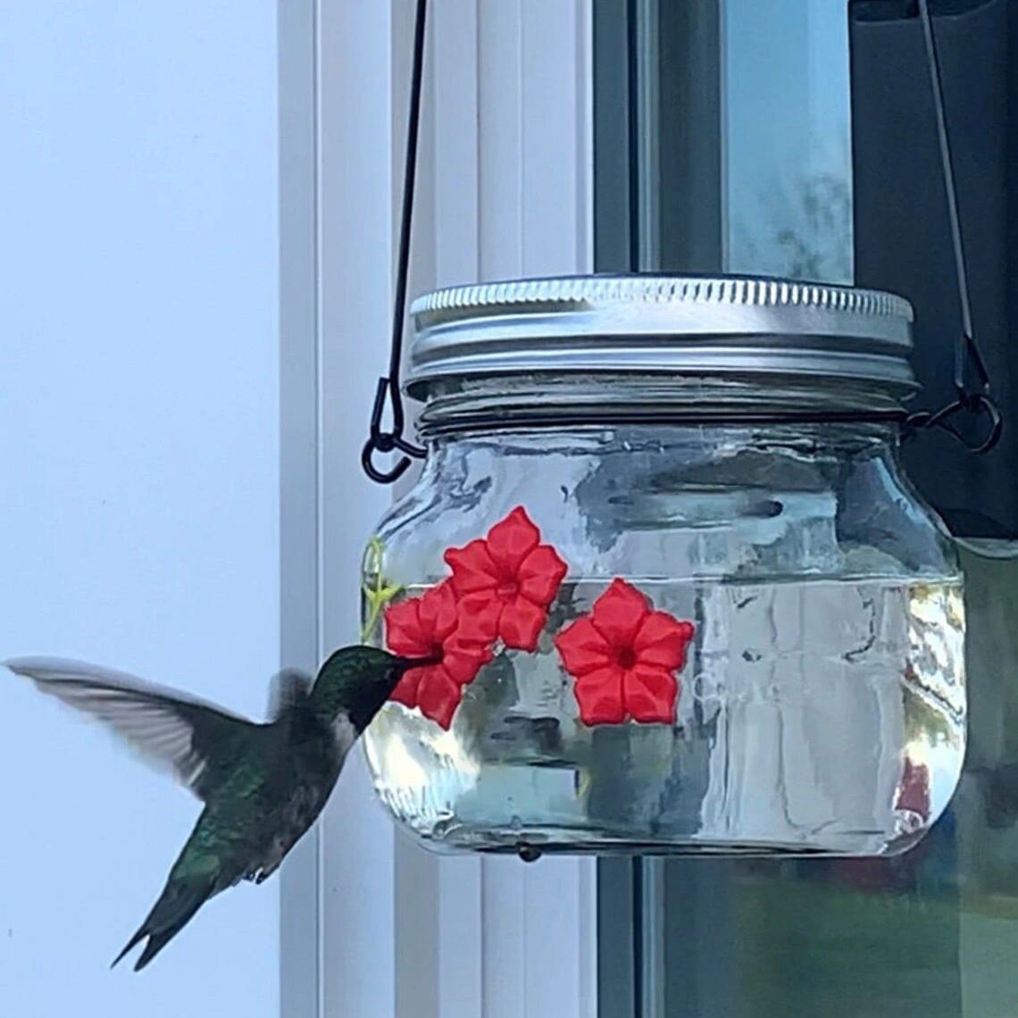 💗Mother's Day Gift--Beautiful Mason Jar Hummingbird Feeder w/Three Ports