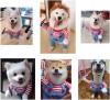 🎁Early Christmas Sale 48% OFF - Fatal Doll Pet Costume（BUY 2 FREE SHIPPING）