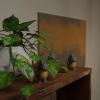 Middle Finger Animal Statue - Funny Desk Decor