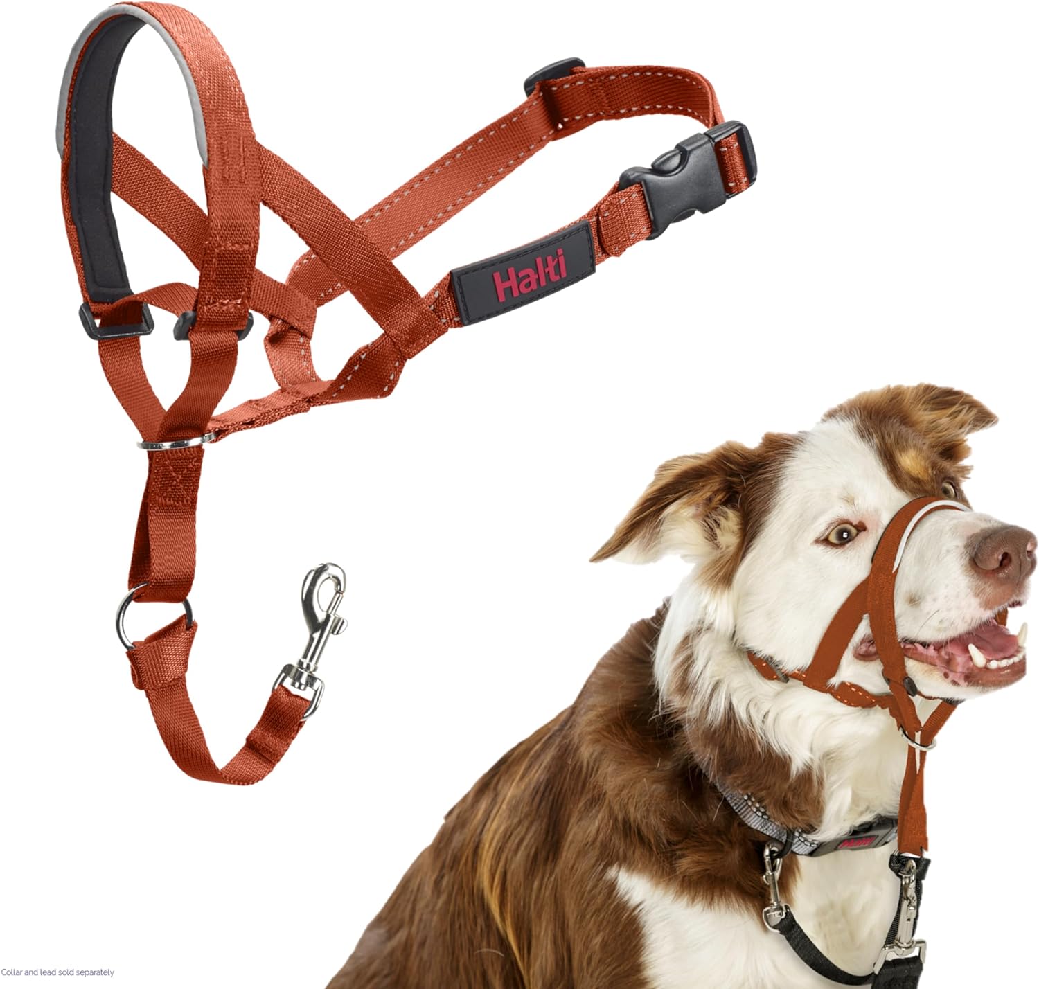 HALTI Headcollar - To Stop Your Dog Pulling on the Leash. Adjustable, Reflective and Lightweight, with Padded Nose Band. Dog Training Anti-Pull Collar for Medium Dogs (Size 3, Red)