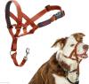 HALTI Headcollar - To Stop Your Dog Pulling on the Leash. Adjustable, Reflective and Lightweight, with Padded Nose Band. Dog Training Anti-Pull Collar for Medium Dogs (Size 3, Red)