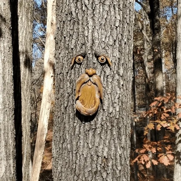 🔥Last Day Promotion - 49% OFF🌳Unique Bird Feeders for Outdoors-Old Man Tree Art