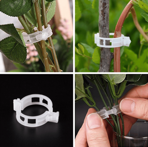 🔥Flash Sale- SAVE 70% OFF⚡Plant Support Clips-Buy 2 Get 1 Free Only Today