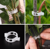 🔥Flash Sale- SAVE 70% OFF⚡Plant Support Clips-Buy 2 Get 1 Free Only Today