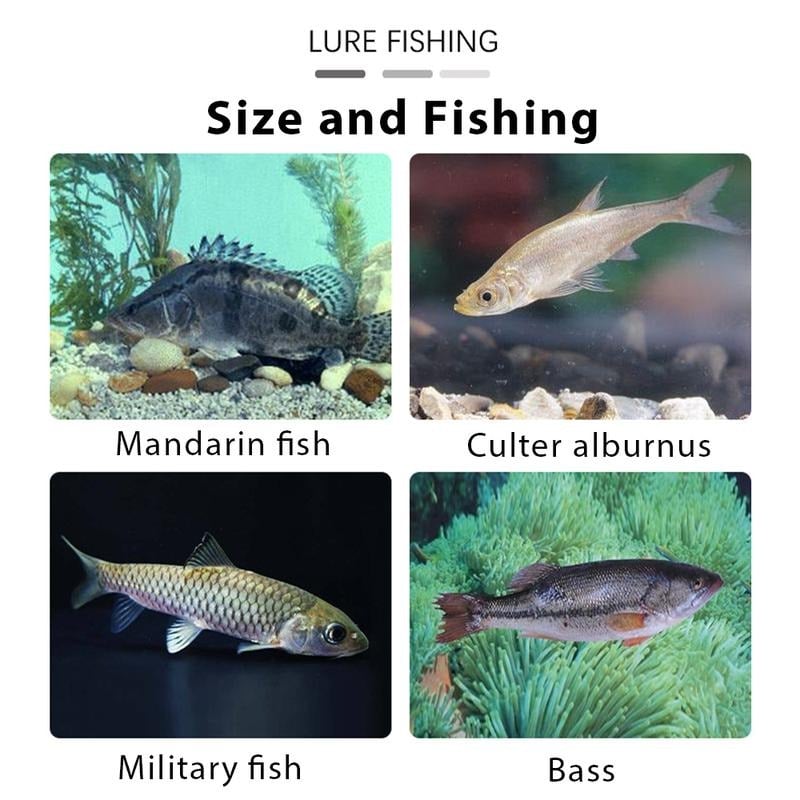 💥LAST DAY SALE 50% OFF💥6Pcs Multiple Pre-Rigged Jig Head Soft Fishing Lures