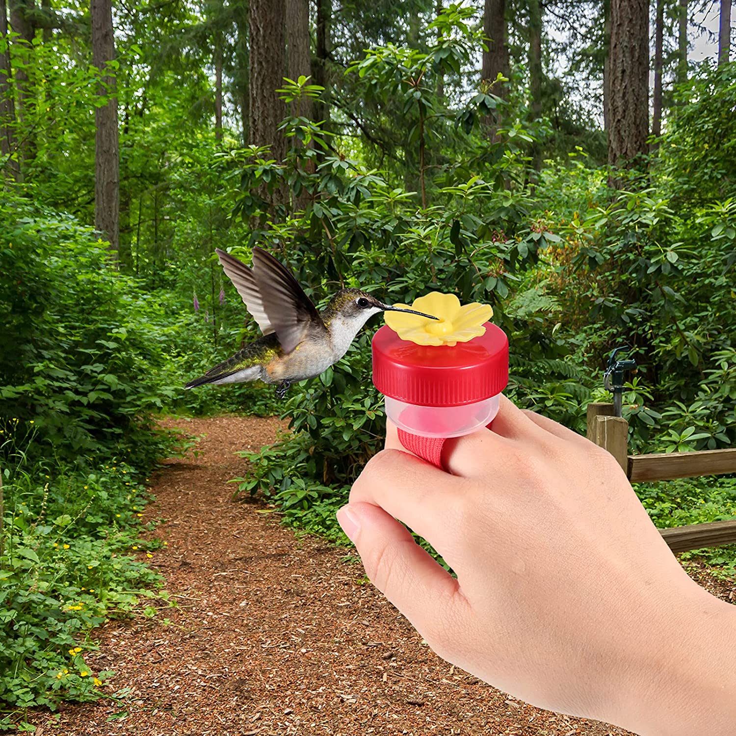 Early Summer Hot Sale 48% OFF - Hummingbird Hand Feeder(BUY 6 GET 4 FREE NOW)