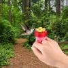 Early Summer Hot Sale 48% OFF - Hummingbird Hand Feeder(BUY 6 GET 4 FREE NOW)