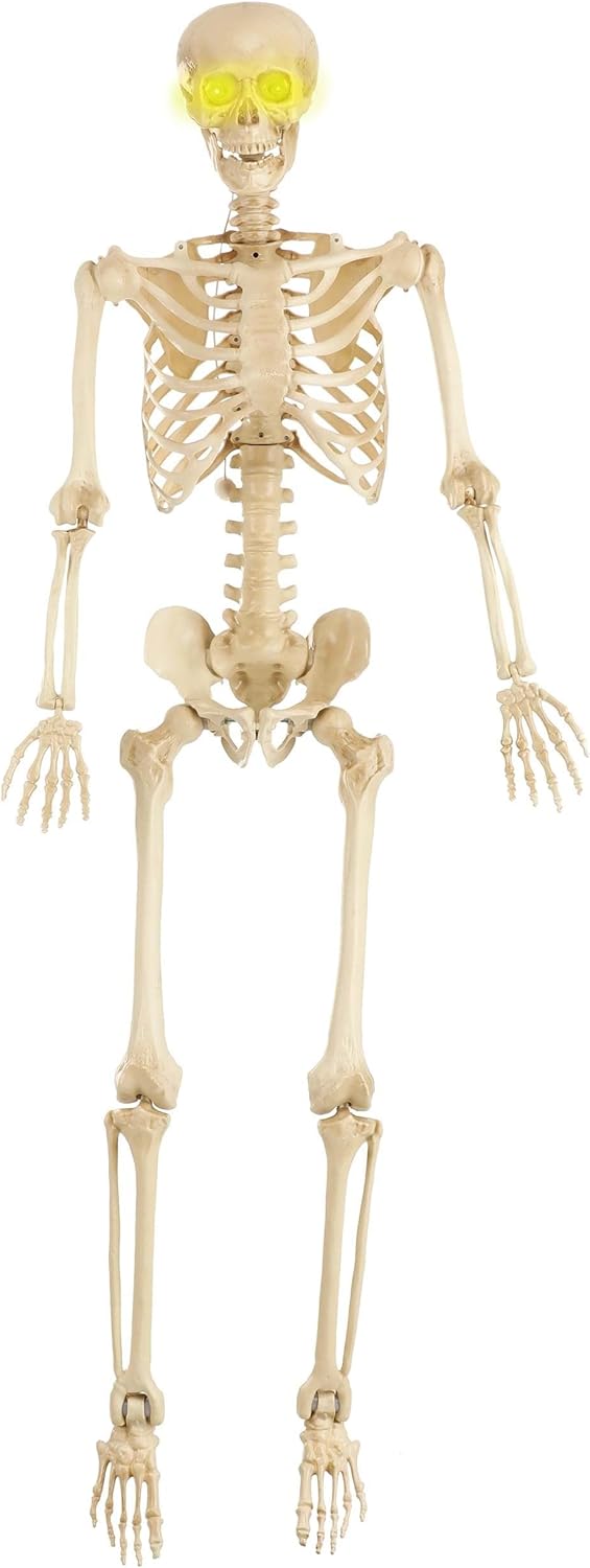 5ft Poseable Skeleton with Electronic Eyes 👻 - Life-Size Yard Decor 💀